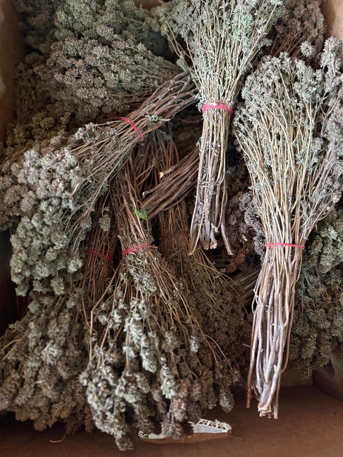 Cimbru uscat legătură